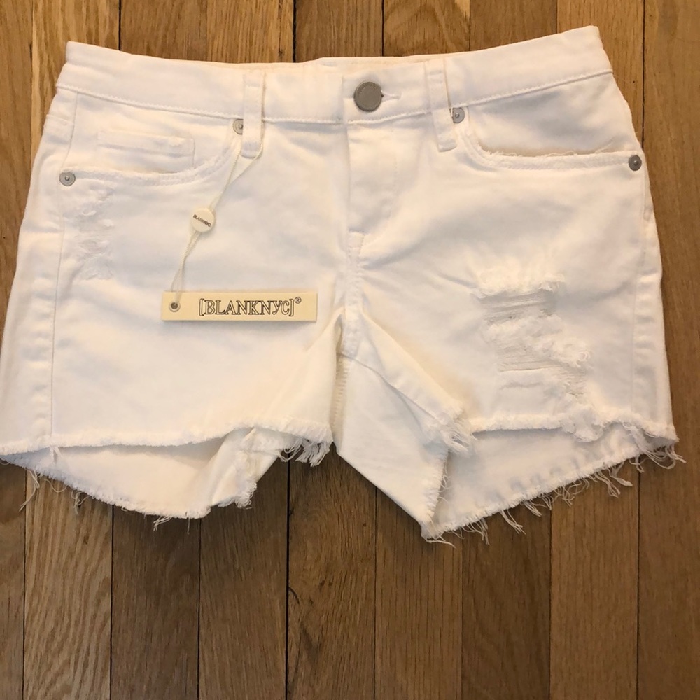 Blank NYC Hiker Short Size 24